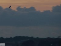 2017-11-21 Tramonti 010